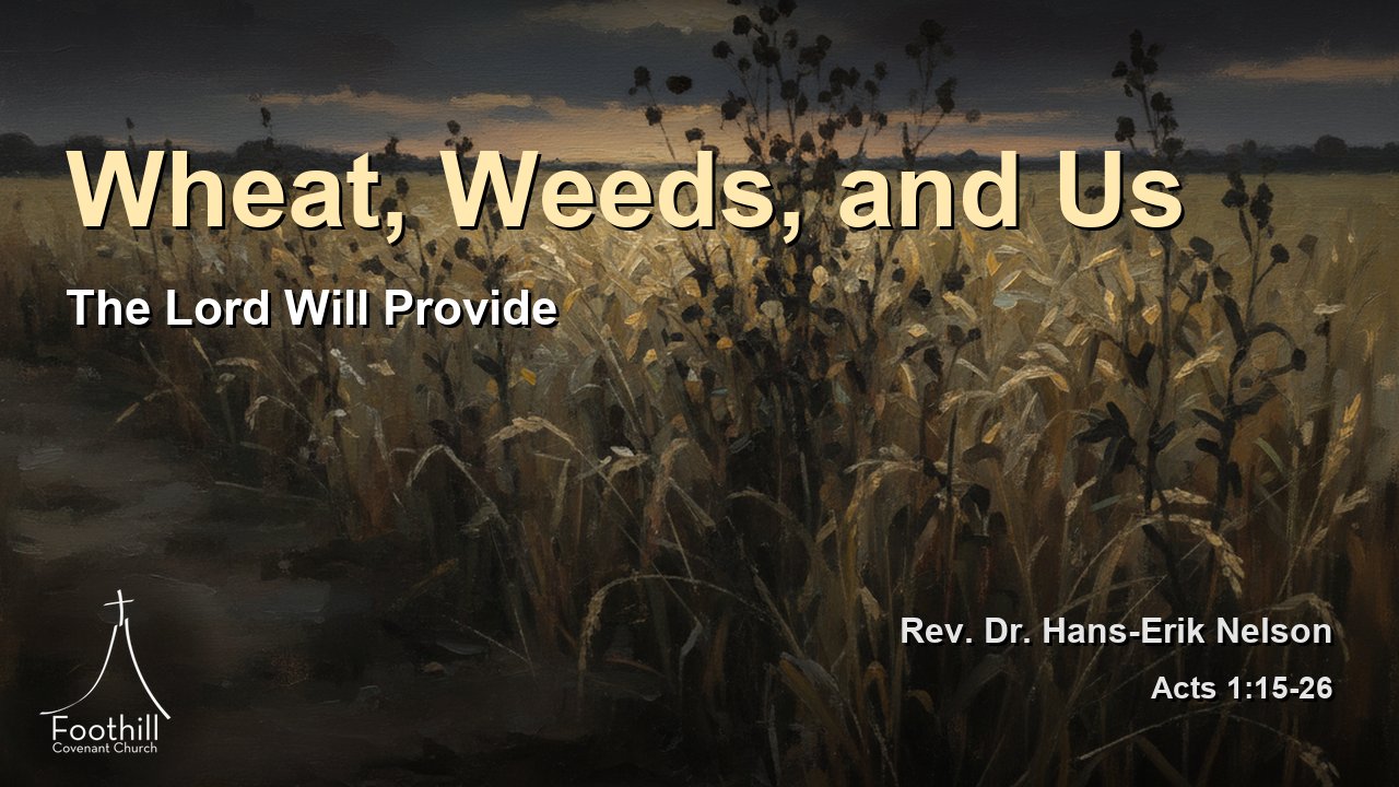Thumbnail for The Lord Will Provide