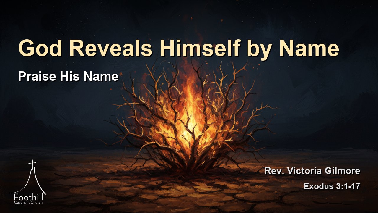 Thumbnail for Praise His Name