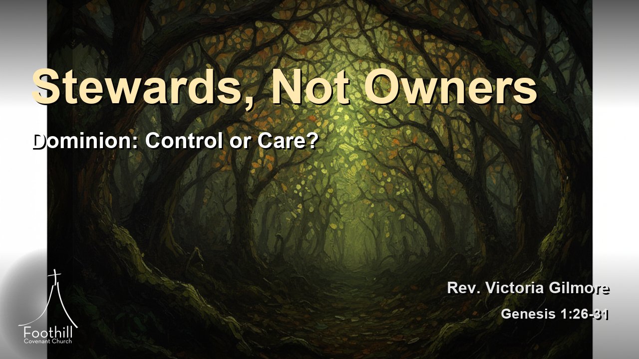 Thumbnail for Dominion: Control or Care?