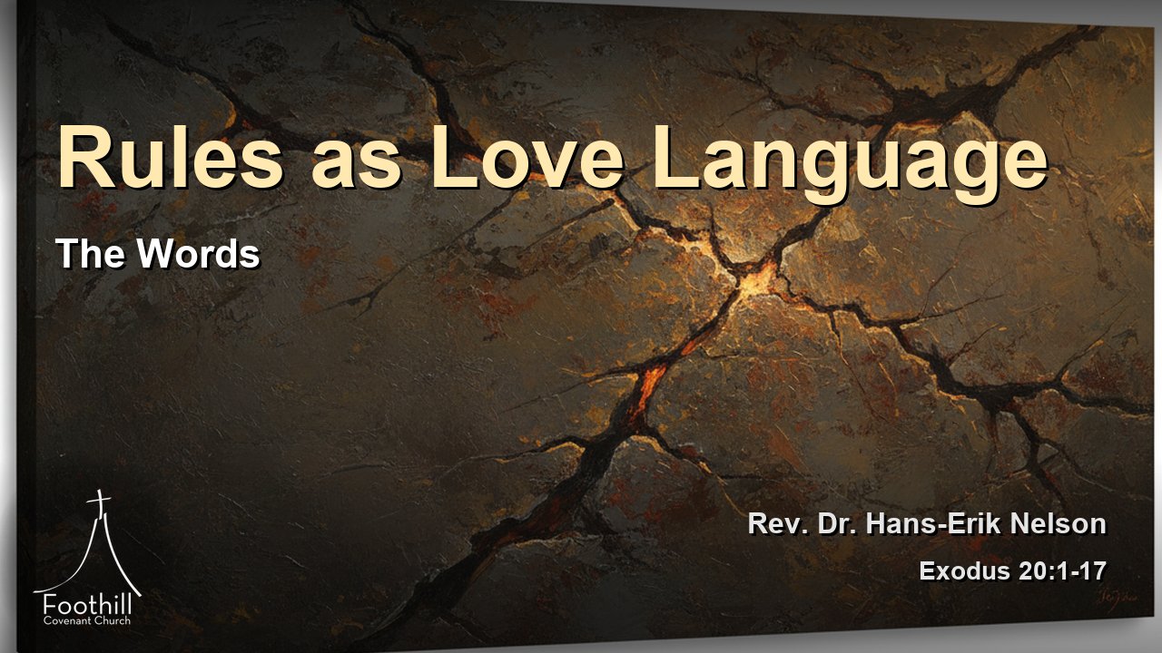 Thumbnail for The Words