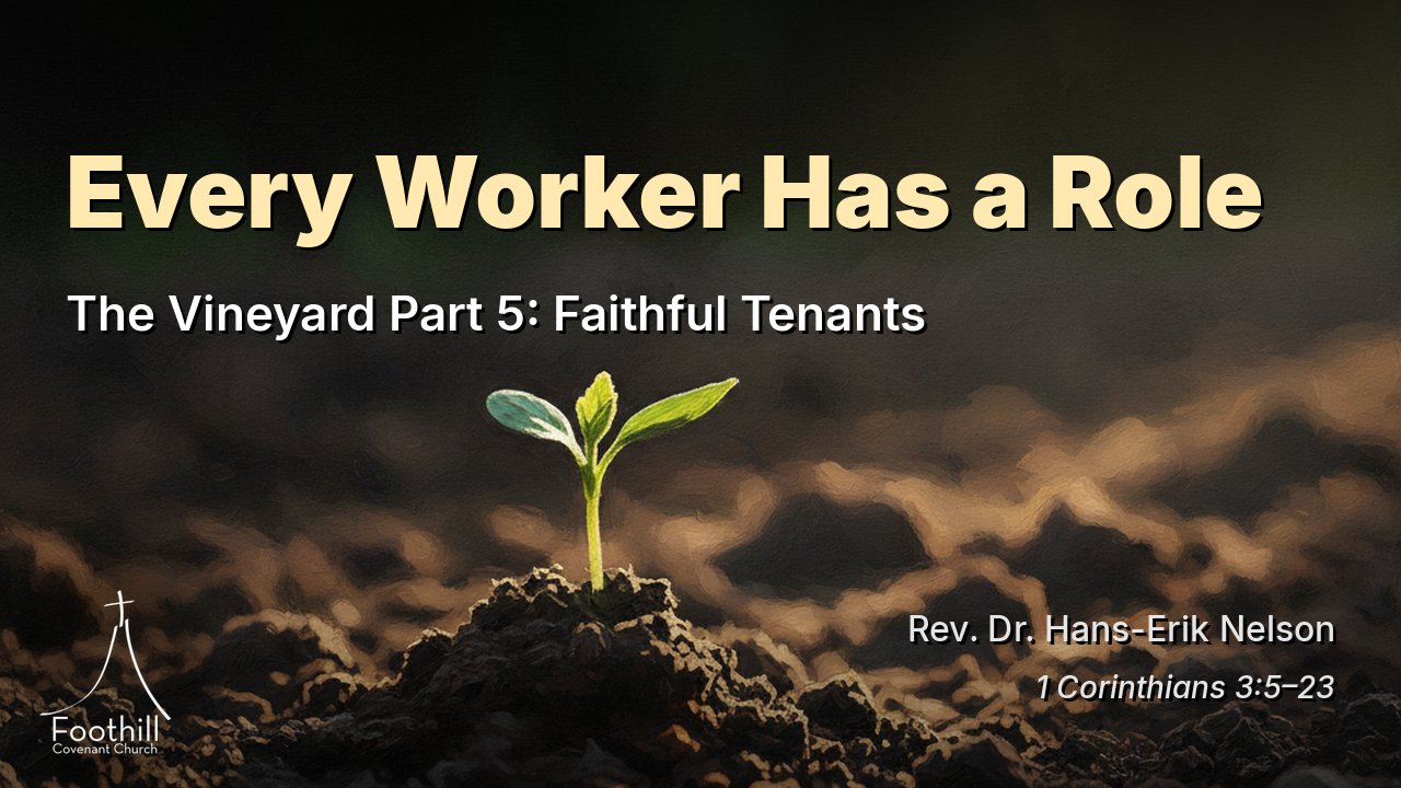 Thumbnail for The Vineyard Part 5: Faithful Tenants