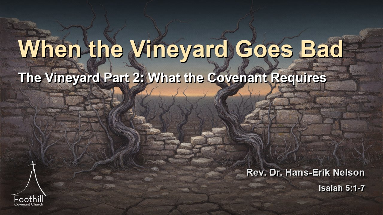 Thumbnail for The Vineyard Part 2: What the Covenant Requires