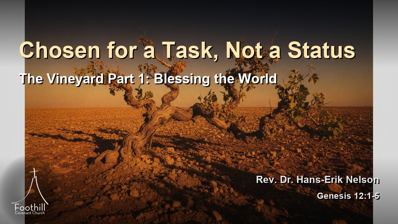 Thumbnail for The Vineyard Part 1: Blessing the World