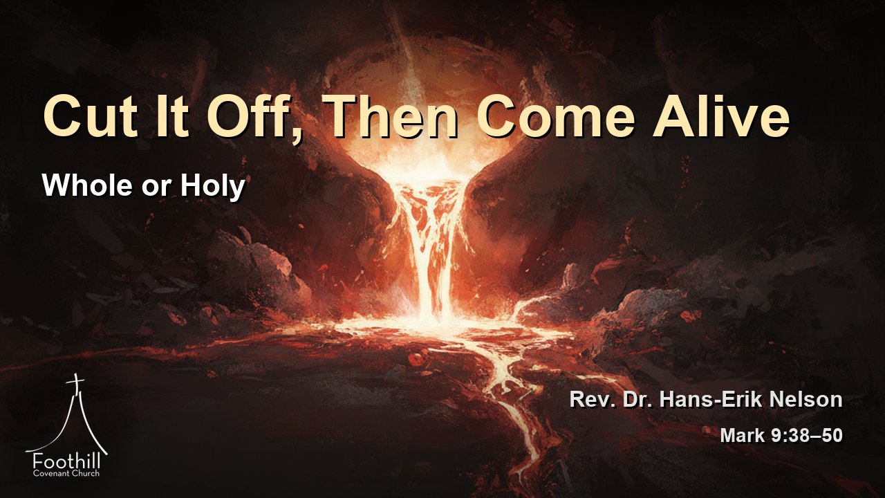 Thumbnail for Whole or Holy
