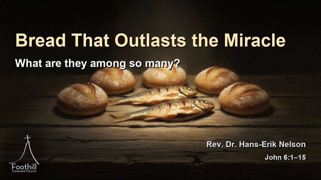 Thumbnail for What are they among so many?