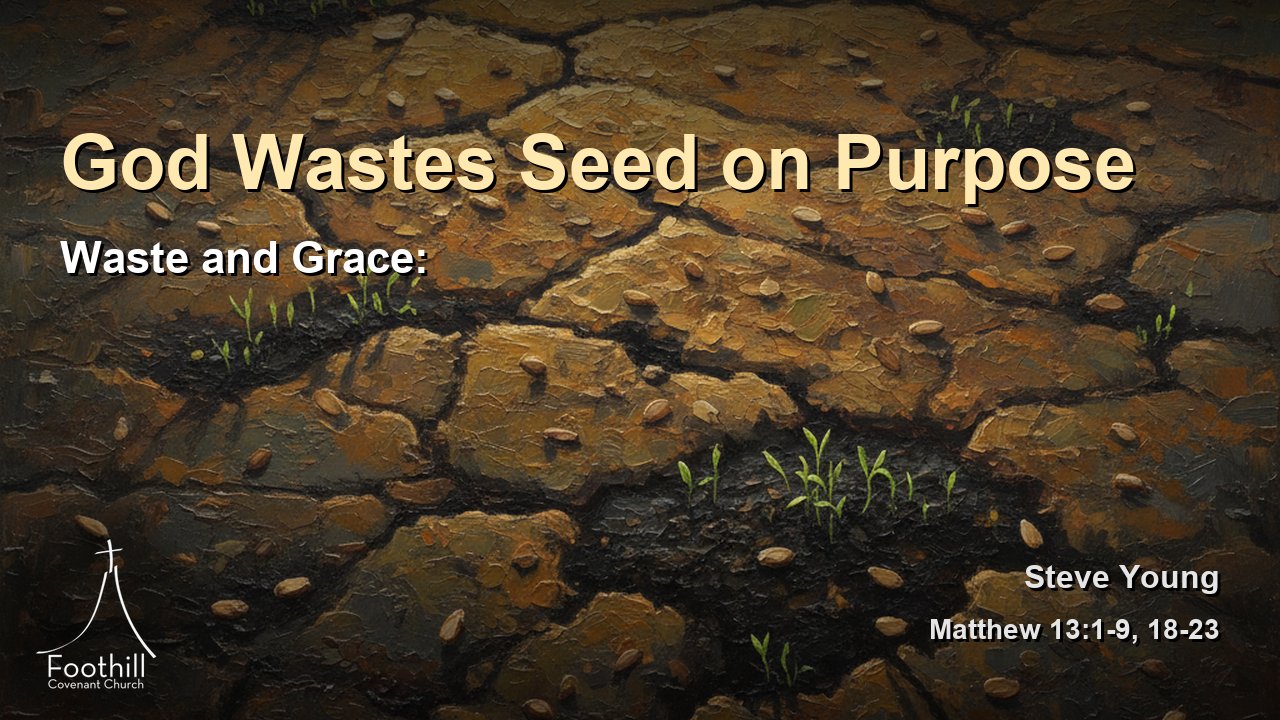 Thumbnail for Waste and Grace: