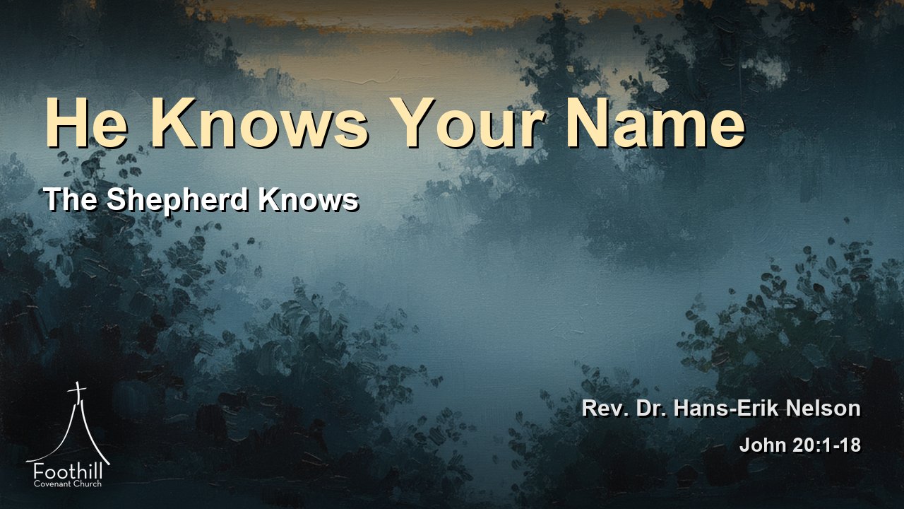 Thumbnail for The Shepherd Knows